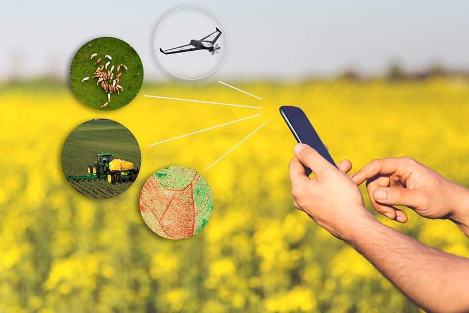 #AgTech
💬 8 de 10 productores/asesores 👨‍🌾 utilizan #apps 📱 de datos en producción #agropecuaria

👉 inta.gob.ar/documentos/ges…

Esto indica el informe del Proyecto #AgriculturadePrecisión <a href="/intaargentina/">INTA</a> evaluando utilidad y demanda de plataformas en esta nueva #agricultura digital