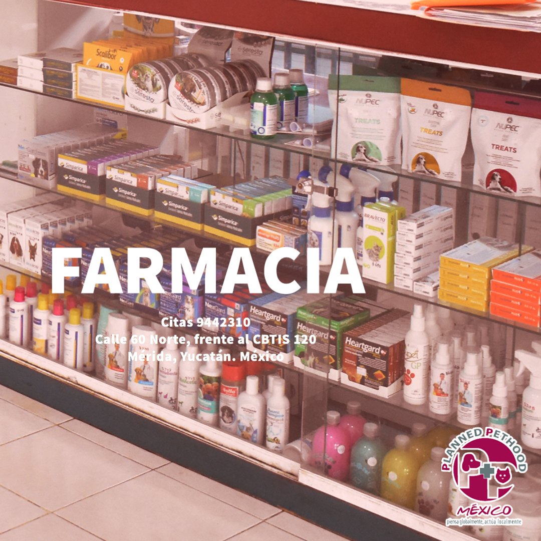 plannedpethood_'s tweet photo. #PPMNoticias En nuestro Hospital contamos #Farmacia para cuidar la salud de peluditx. 

 Planned Pethood México | Hospital #Veterinario  
Calle 60 Norte #Mérida, #Yucatán #México
Citas al 9442310 https://t.co/Kamwgt11j9 https://t.co/dGrn1w4Amu