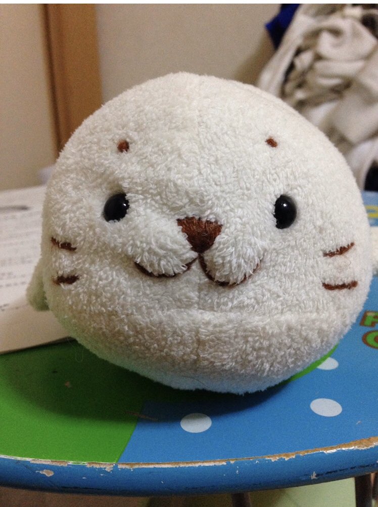 しろたんとの出会い