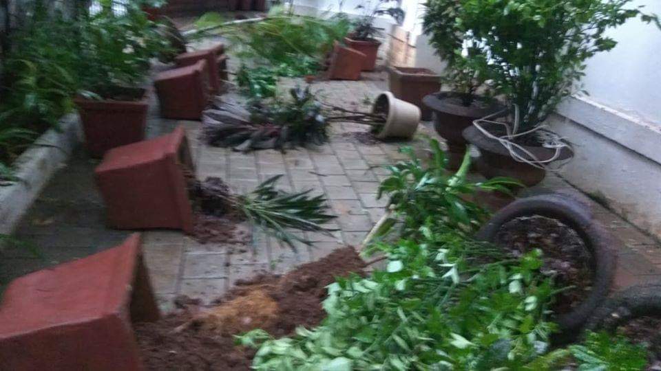 Neelam_Culture's tweet photo. @CMOMaharashtra @DGPMaharashtra is this the way people show respect to Babasaheb Ambedkar? Isn't it disgusting?

Neelam Cultural Center strongly propose police to take action and arrest cruel casteist minded culprits involved in this unlawful act.

#BabasahebHouse

@beemji https://t.co/DVS37c2ZTi