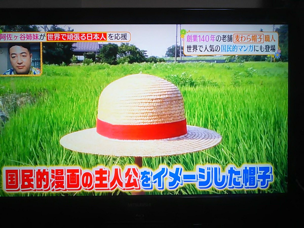 ヒルナンデスで 麦わら帽子 が話題に トレンドアットtv ヒルナンデスで 麦わら帽子 が話題に トレンドアットtv