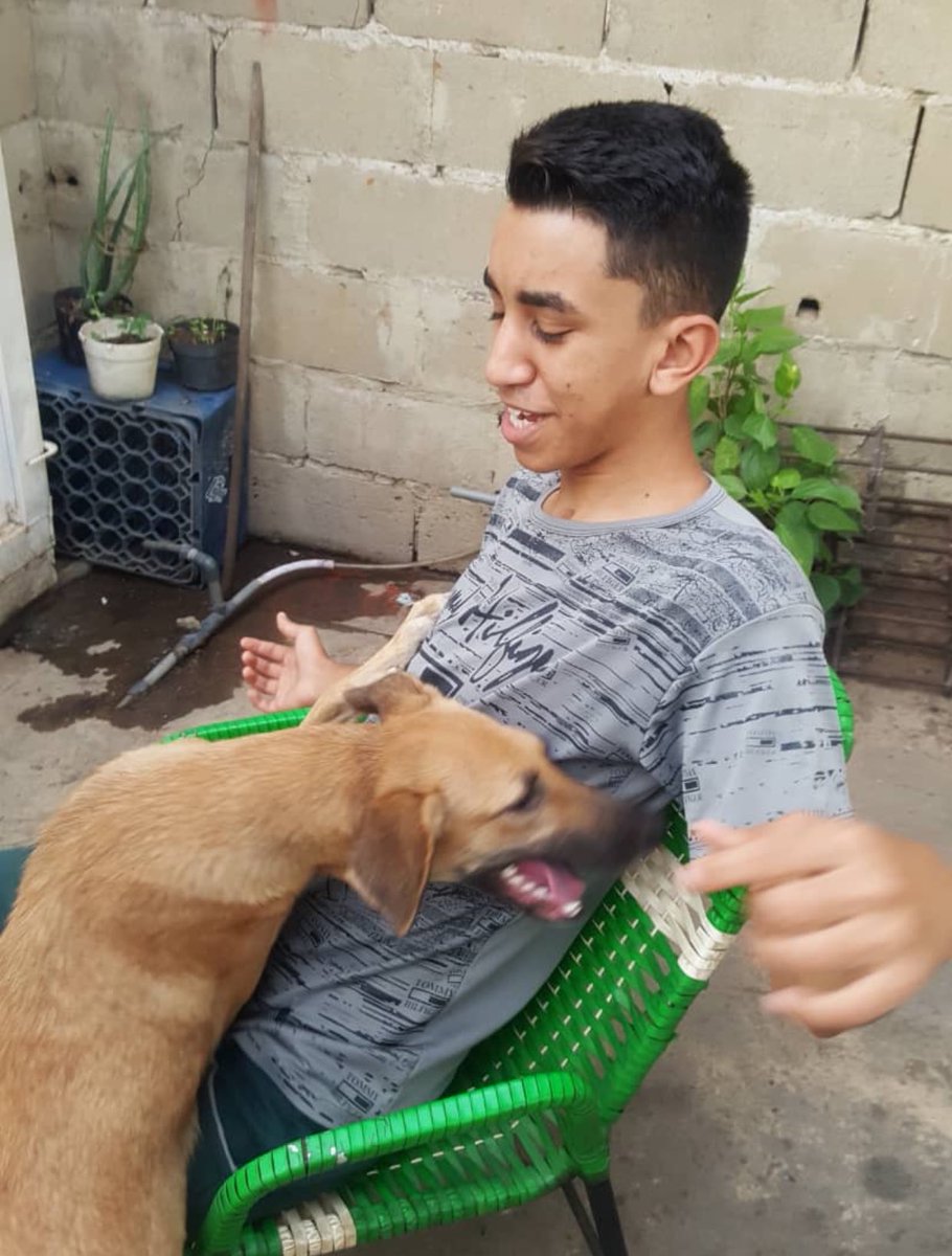 alexagomez2000's tweet photo. Recuerdan al Guerrero Óscar Navarrete? Fue herido con bomba lacrimógena en el pecho en las protestas del 2017 y quedó parapléjico. Les recuerdo cómo estaba Óscar apenas sucedió el accidente y cómo está ahorita gracias al amor y cuidados de su madre @ElizabethNro1 https://t.co/LspMg9LqYG