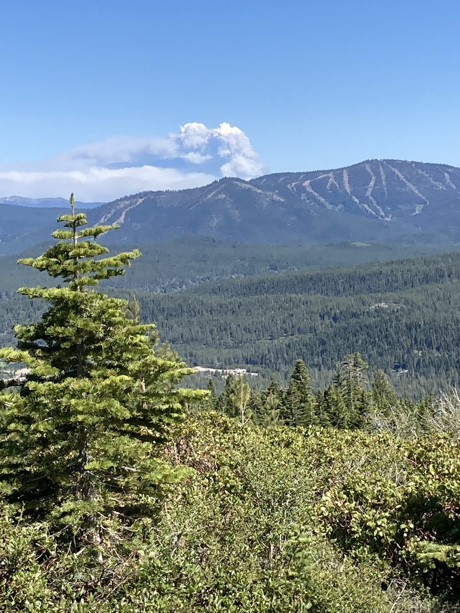 nplareau's tweet image. #NumbersFire visible from Donner Ridge in #Truckee. Plume is sporting a shallow #pyroCu, but not tapping into moist instability aloft. #NVwx #NVfire