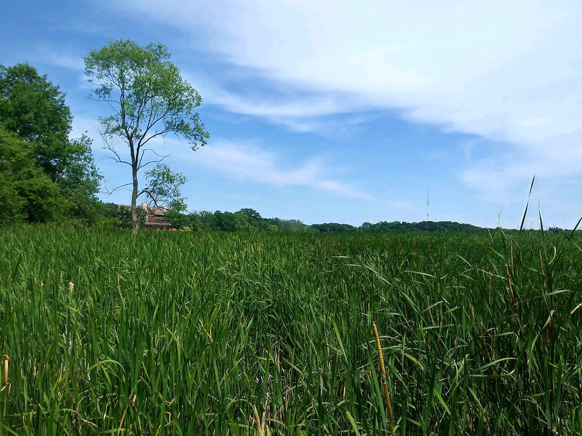 GoSIRC's tweet image. Don't you wish you could social distance here? #GoSIRC