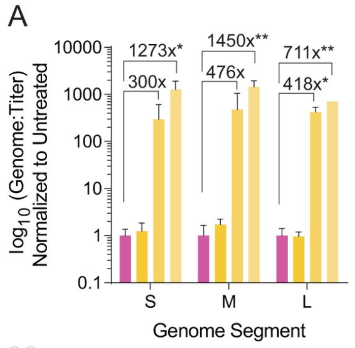 Her skills with RNA led to her inclusion on Vince's paper ( https://jvi.asm.org/content/93/14/e00530-19.abstract) because she made such beautiful data.Look at those error bars!