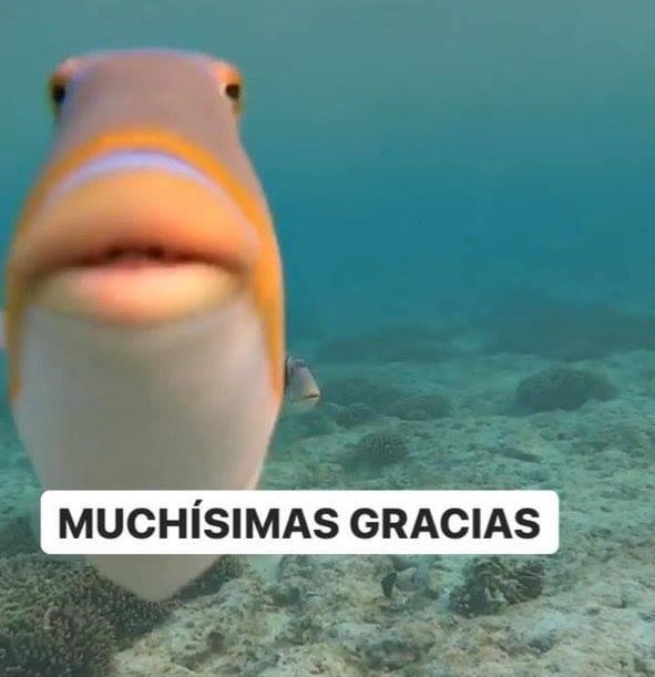 *El mesero o mesera respiran*

Yo: