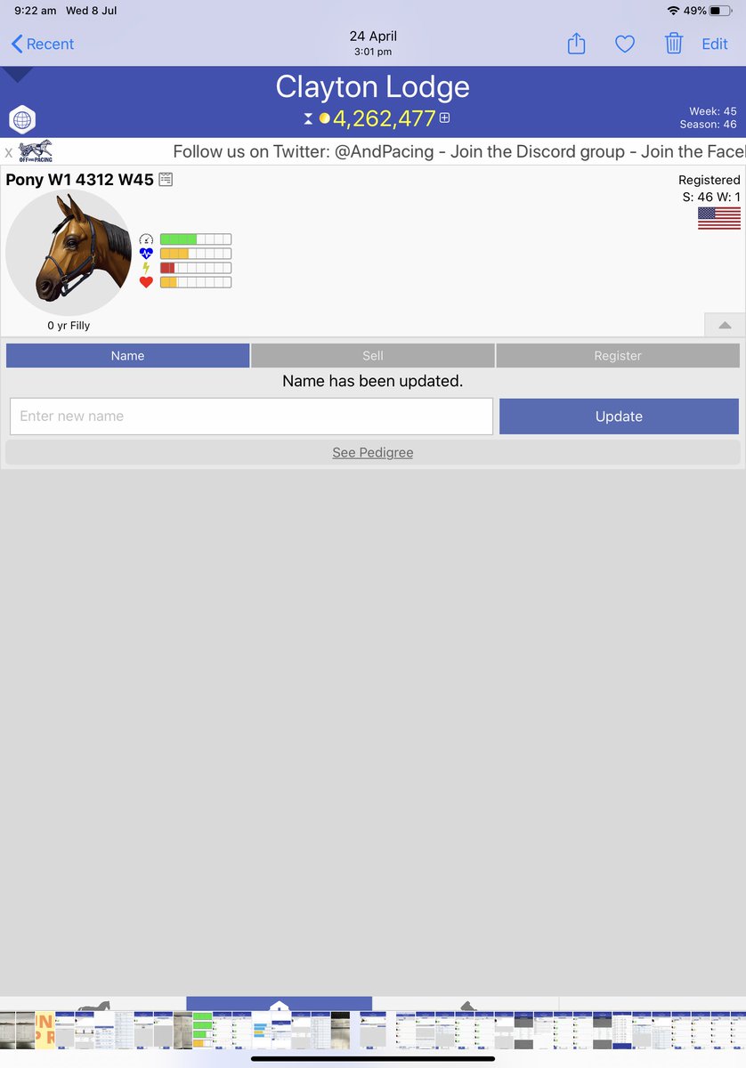 claymat's tweet photo. Any interest was week 45 zero and turned after 3yo new foals @AndPacing https://t.co/otJPwWZjkG