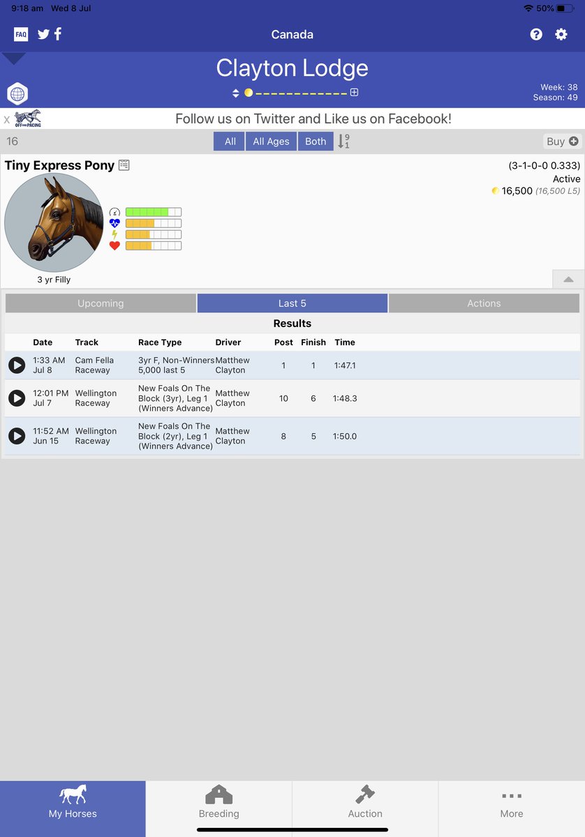 Any interest was week 45 zero and turned after 3yo new foals <a href="/AndPacing/">Off and Pacing</a>