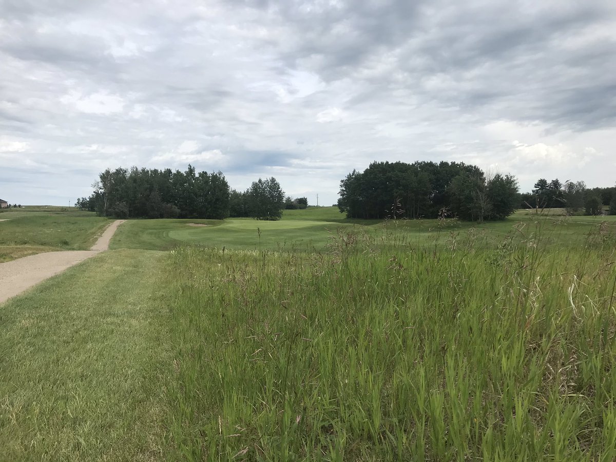 Wild Rose Golf tweet media