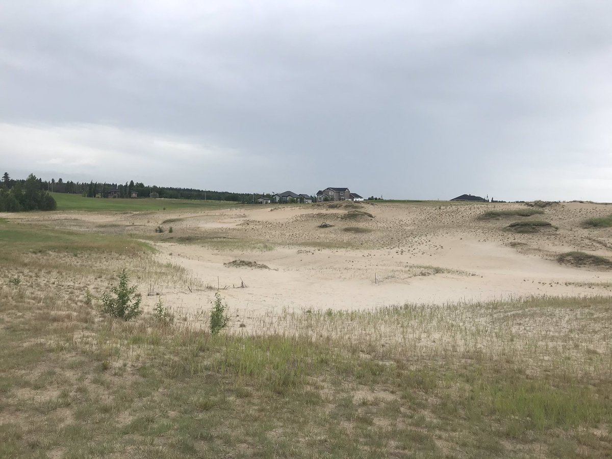 Wild Rose Golf tweet media