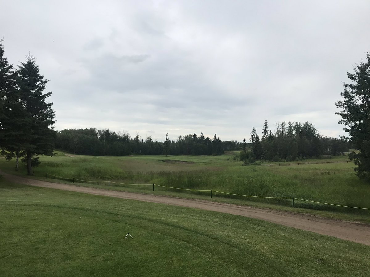 Wild Rose Golf tweet media
