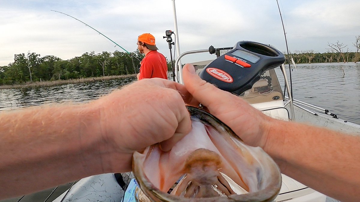 I broke my PB at this lake! RT if you love big bass! Let's see some personal best fishies! Drop a pic! You can watch
the video here🎥youtu.be/MKIzvXNs0LE