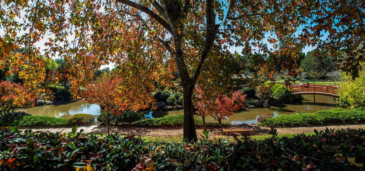 leanheglobal's tweet photo. Good morning from #usq Service Improvement team. Today we take the #leanhe #twittertakeover to beautiful Toowoomba in Queensland, Australia 🇦🇺We are still #WFH and miss the gorgeous Japanese Gardens at our Toowoomba campus📸by David Martinelli #queensland #continuousimprovement https://t.co/PPi7E55ijL