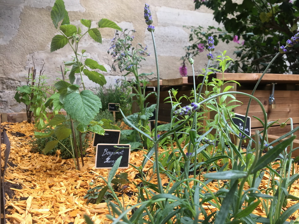 batirama's tweet photo. Merci Raymond reconnecte les citadins à la nature https://t.co/bh87Ds5HYV https://t.co/kXYOiSrHXR