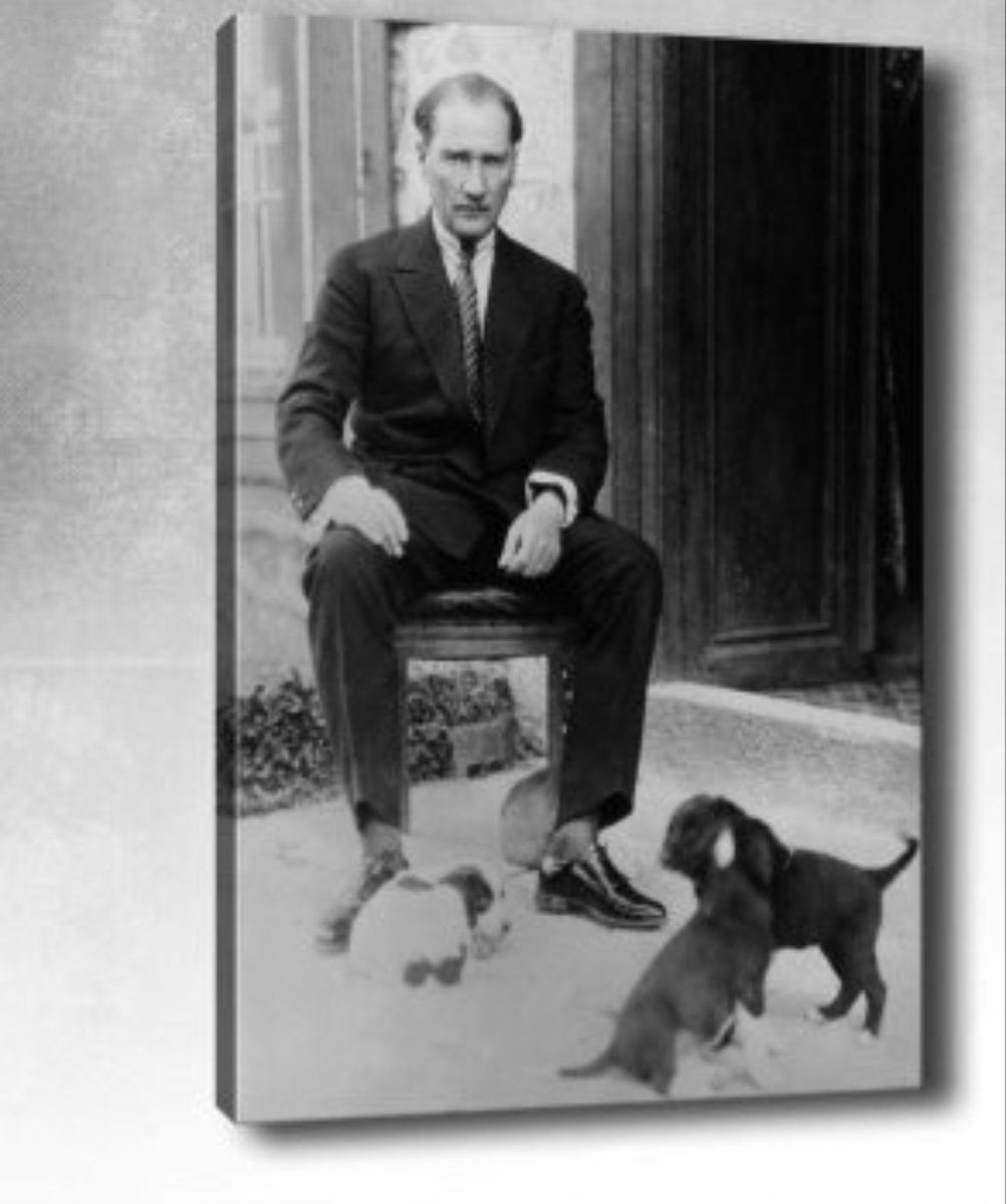 Bana hayvanları ve Hayatı Sevdiren. 

#Ataturkucokseviyorum