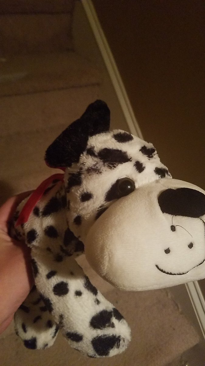 LittleDavidKobe's tweet photo. Poke Dot Puppy. https://t.co/j8B7ux7o9N
