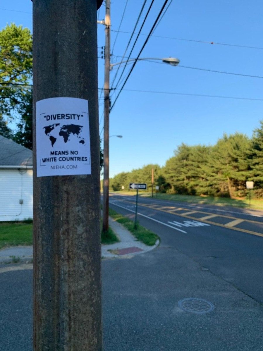 EuropeanAssoc's tweet photo. NJEHA activists placed promotional materials around:
--Radnor, Pennsylvania
--Cocoa, Florida
--Staten Island, New York
--Bordentown, New Jersey
#WhiteStrike
#LawAndOrder
#DiversityBecomesReplacement https://t.co/eymiVwn6CX