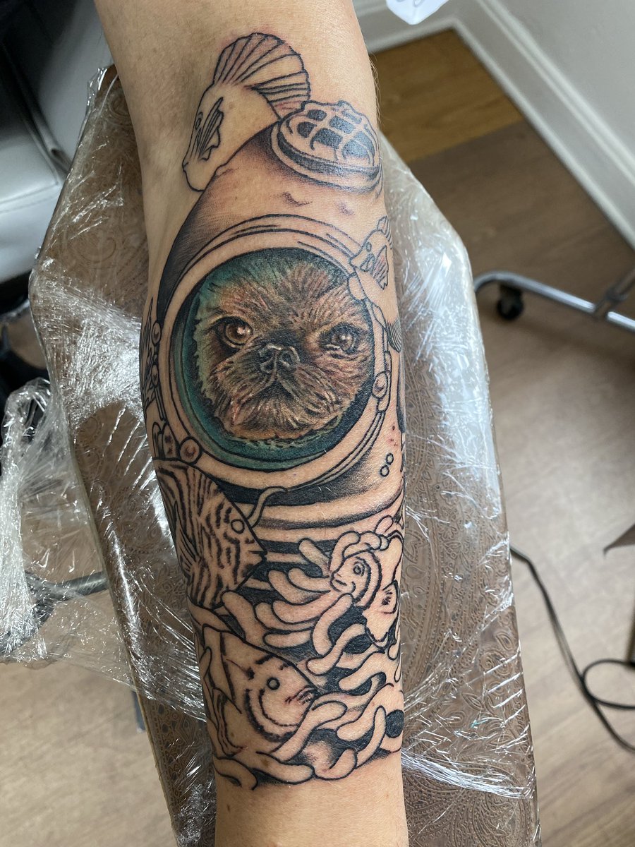 lexi 👻 tweet media