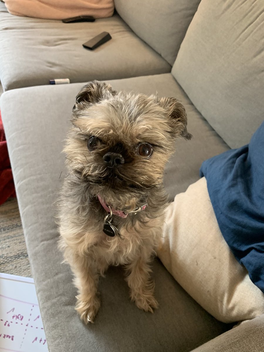 lexi 👻 tweet media