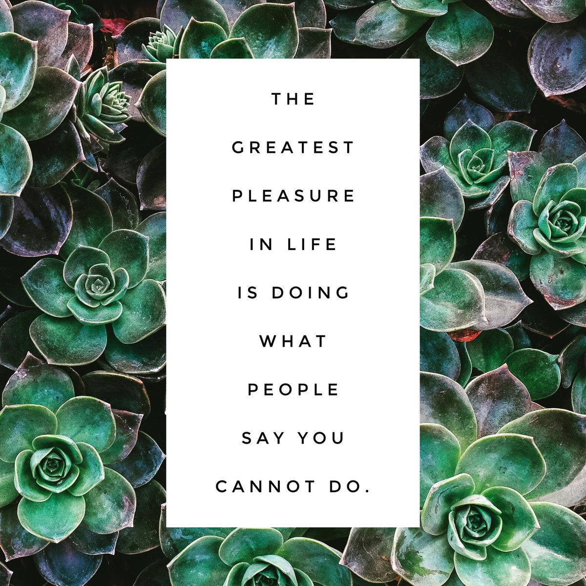 Always push for more....people will tell you that you cannot do something but prove them wrong!!

#ThankfulTuesday #pushformore #achievegreatness #helpothers #nonprofit #donate #donors #babyoliverproject