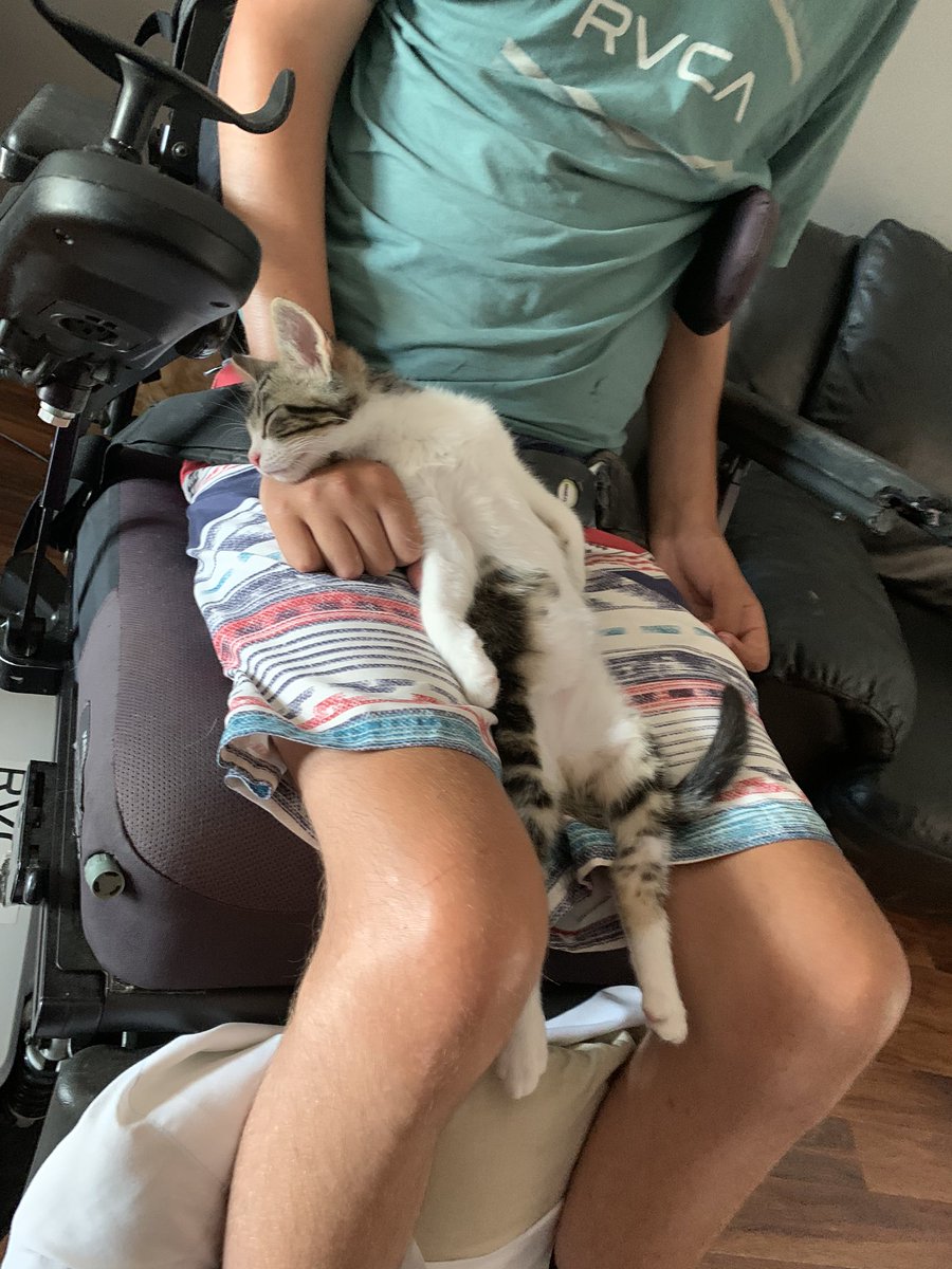 Luke114Sharp's tweet photo. Newest addition to the family https://t.co/TGmIWjkEzZ