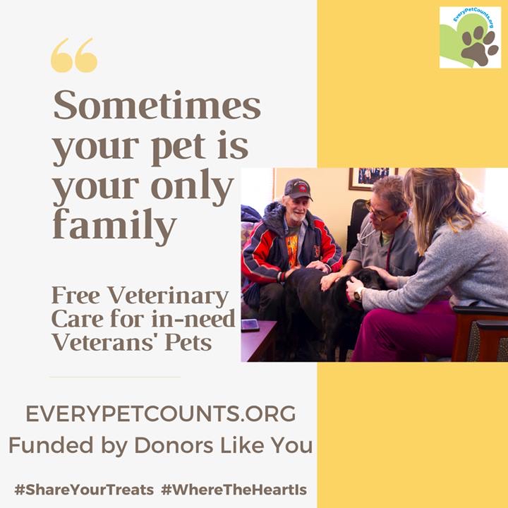 EveryPetCounts's tweet image. Here are some facts of what having a pet can do to your life:
-Increase overall psychological wellbeing, and higher levels of life satisfaction and resilience
-For the elderly, companion animals enhance quality of life, bringing value, meaning and worth --&amp;gt;bit.ly/2Ow48In