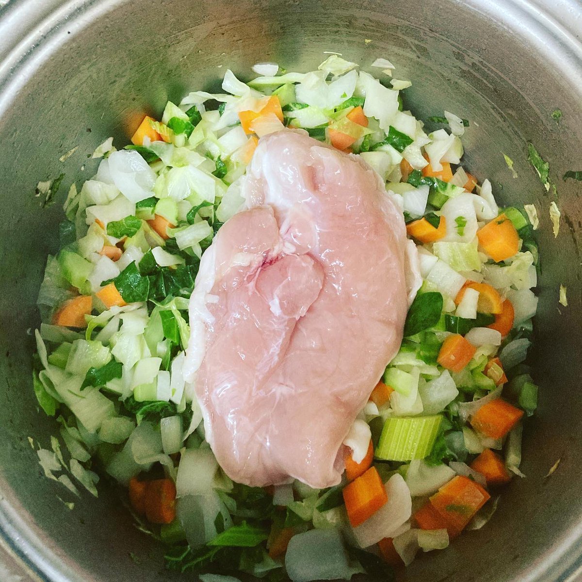 野上優佳子 弁当家 チキンスープの今日の野菜は 玉ねぎ キャベツ フェンネル にんじん カリフラワーとセロリは葉っぱ のところだけ 葉っぱが入ると 急にすごく美味しさ増す 青森の郷土料理の けの汁 も アザミの葉が入ると急に美味しさ増す