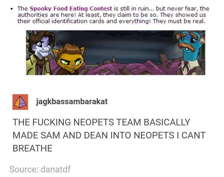 33. the most 2013 thing possible was TNT making neopet versions of the two supernatural dudes and making them main characters in the halloween event. they made you steal items from the mayor and then make some flowers sing? i did, in fact, play it