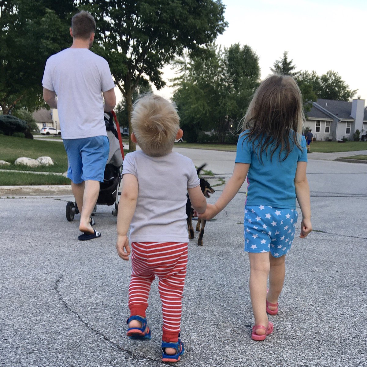 HannahZillmer's tweet photo. Accidental Stars and Stripes pairing on our evening walk tonight. #Patriots https://t.co/BBr4EtSNGA