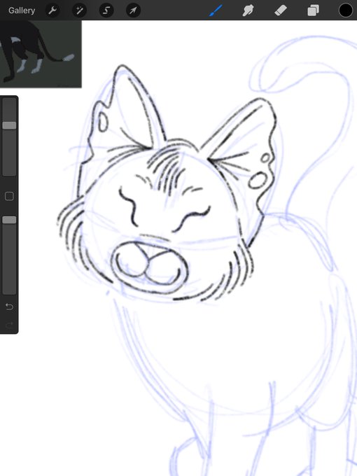 So many cats... 