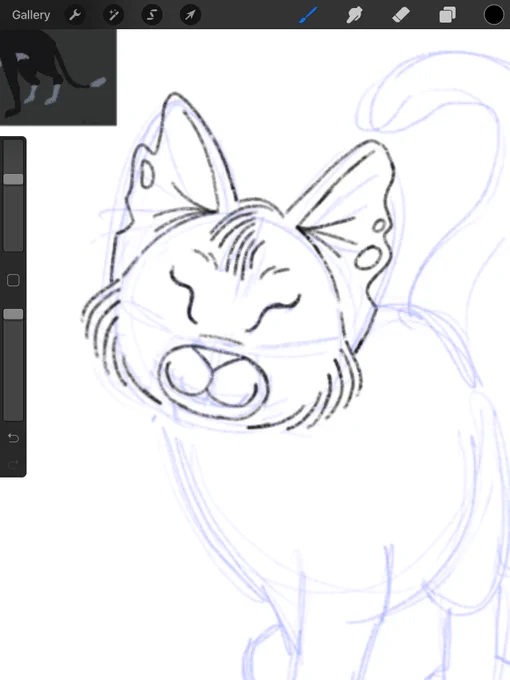 So many cats... 
