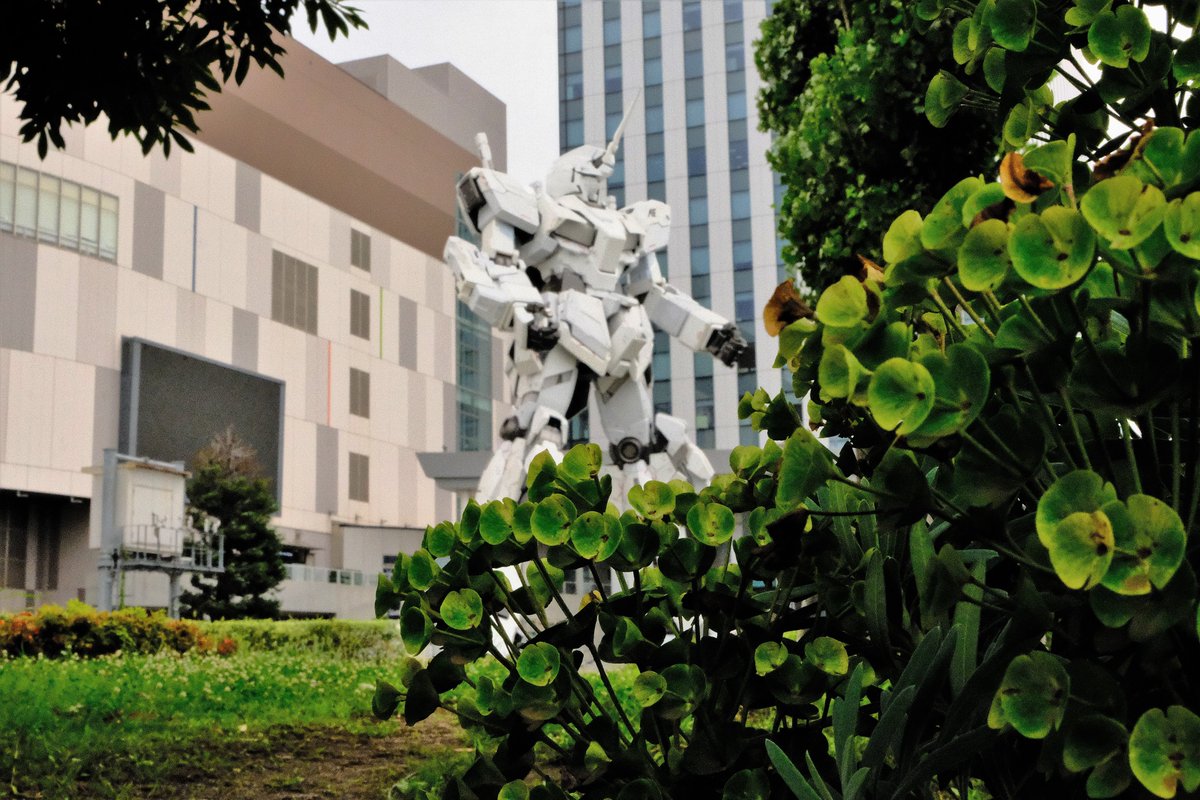 Gundam Trailer Shop در توییتر おはようございます 只今のお台場の天気は雨 気温は27 です 風がとても強いので お出かけの際はご注意を 本日は7 8 ガンダム Rx 78 の日 皆さんのお好きなrx 78はなんでしょうか 横浜のガンダムの完成も待ち遠しいですね