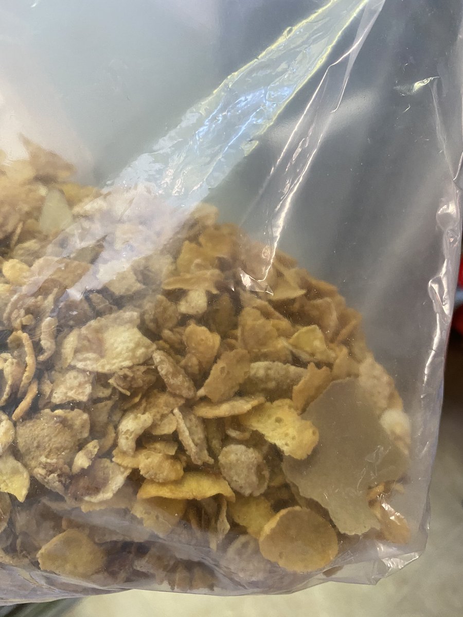 ayah_oh's tweet photo. Hey @HBOats, what’s this in my child’s #cereal? #ithinkimgonnabesick #thingsinmyfood #breakfast #Disgusting #foodindustry https://t.co/aLZd2vuKUW