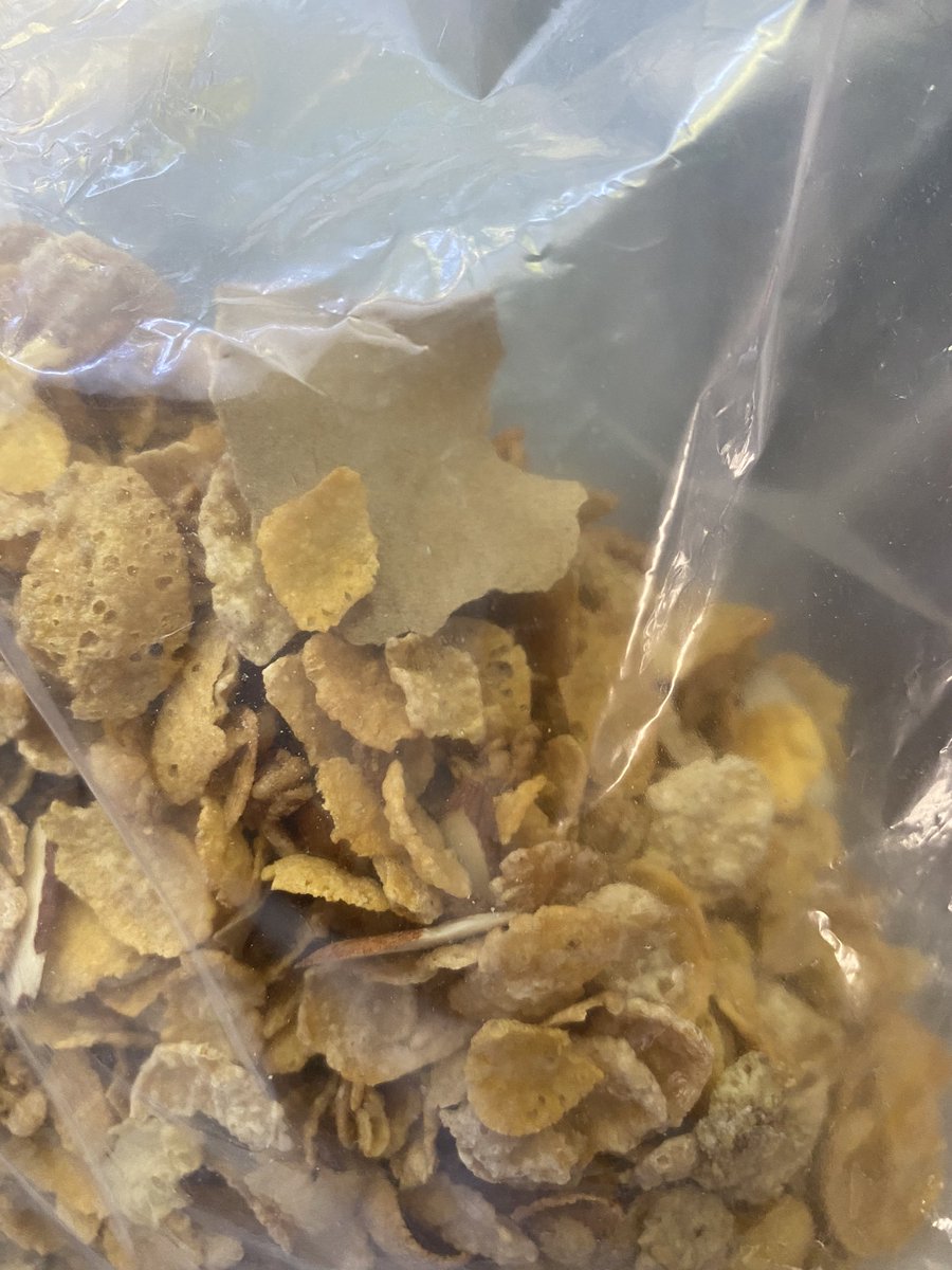 ayah_oh's tweet photo. Hey @HBOats, what’s this in my child’s #cereal? #ithinkimgonnabesick #thingsinmyfood #breakfast #Disgusting #foodindustry https://t.co/aLZd2vuKUW