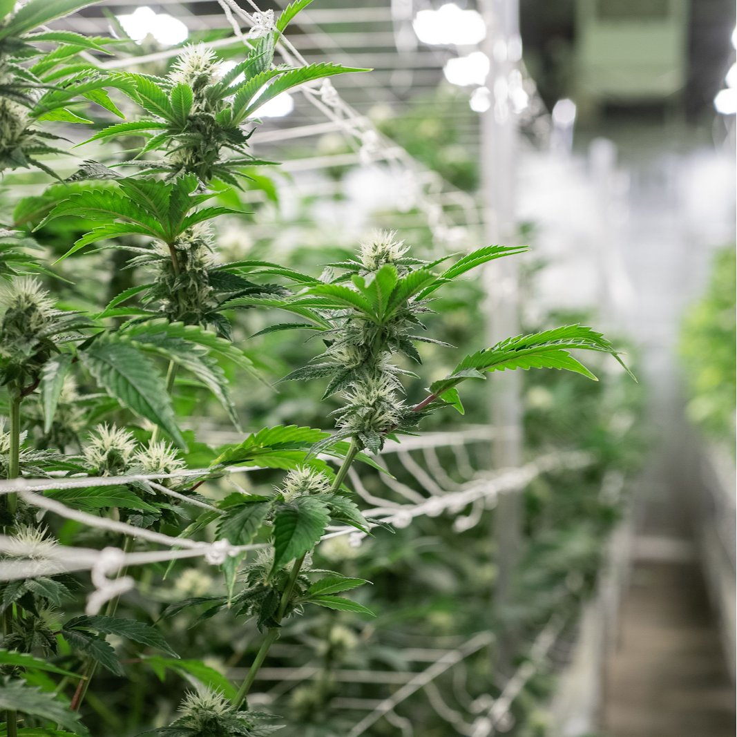 ♦️ ʜᴏᴍᴇ ꜱᴡᴇᴇᴛ ʜᴏᴍᴇ  ♦️