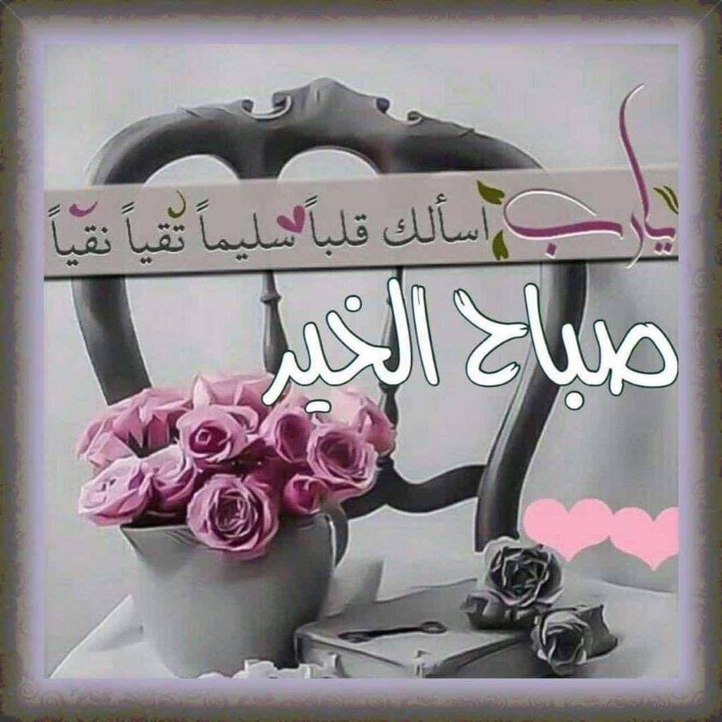 Almandeel (@almandeel7) on Twitter photo 