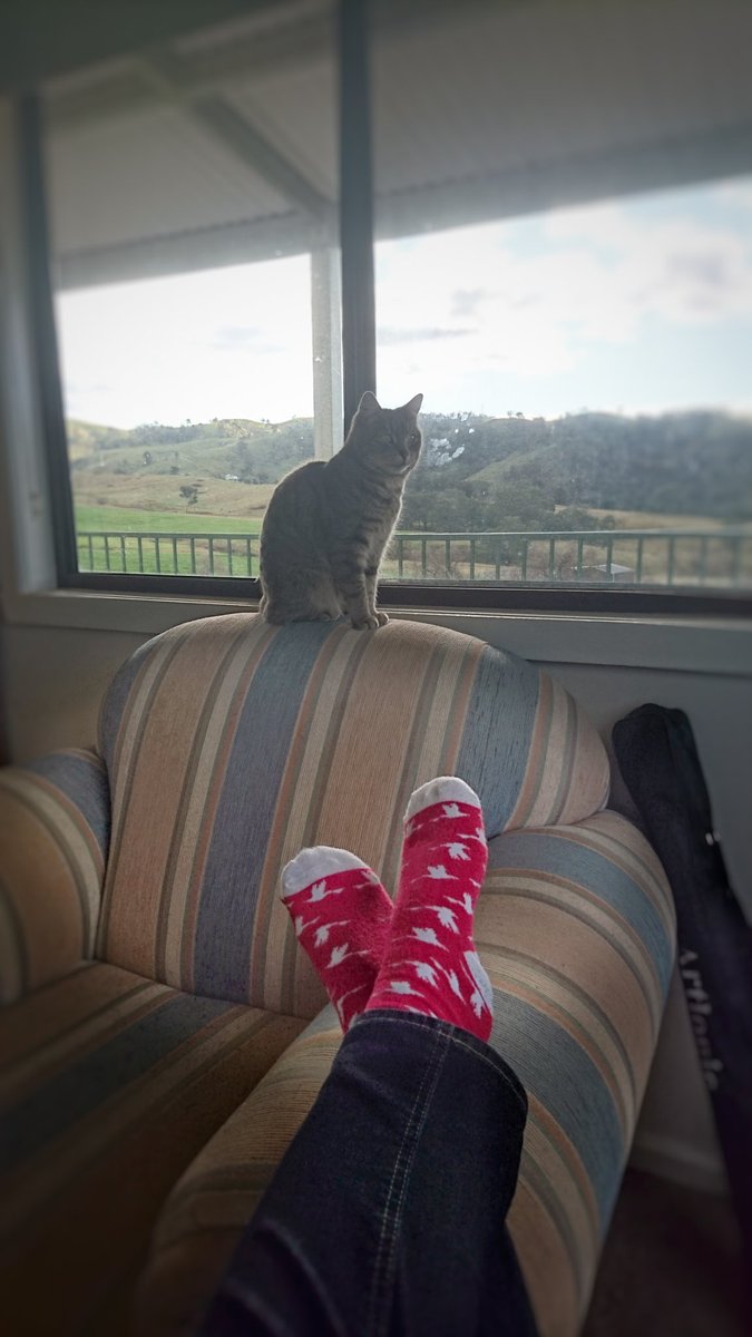 JoMcClelland's tweet image. D6 #AusWrites Show us your writing space. I've posted photos before, so here's a picture of the company and the view.  #amwriting #writingspace #office