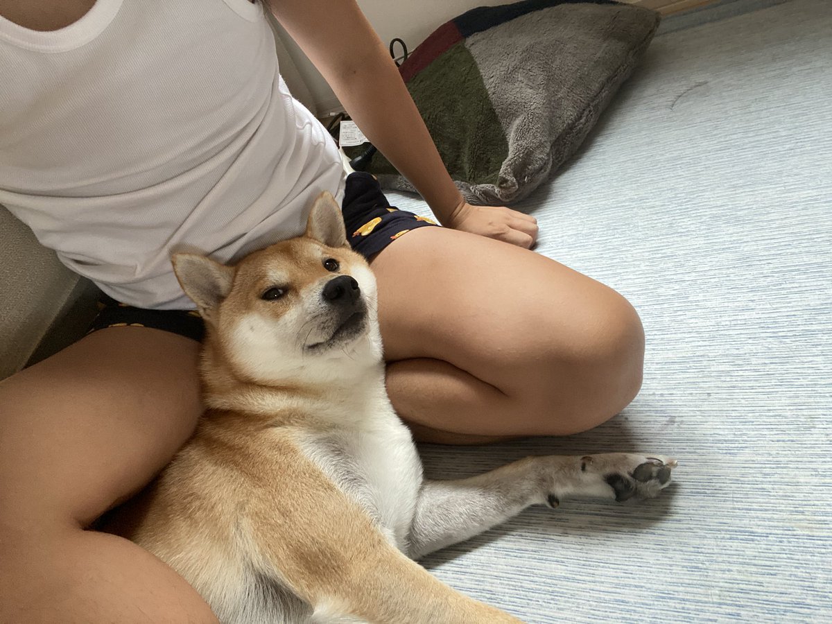 asup555's tweet photo. 最近かわいすぎて嫌や…😭😭 https://t.co/ZJzCYaLvFu