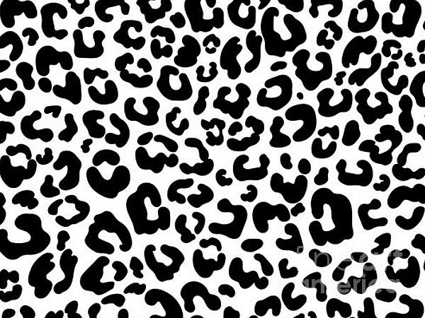 November__Moon's tweet image. New artwork for sale! - "Catty" - fineartamerica.com/featured/catty… @fineartamerica