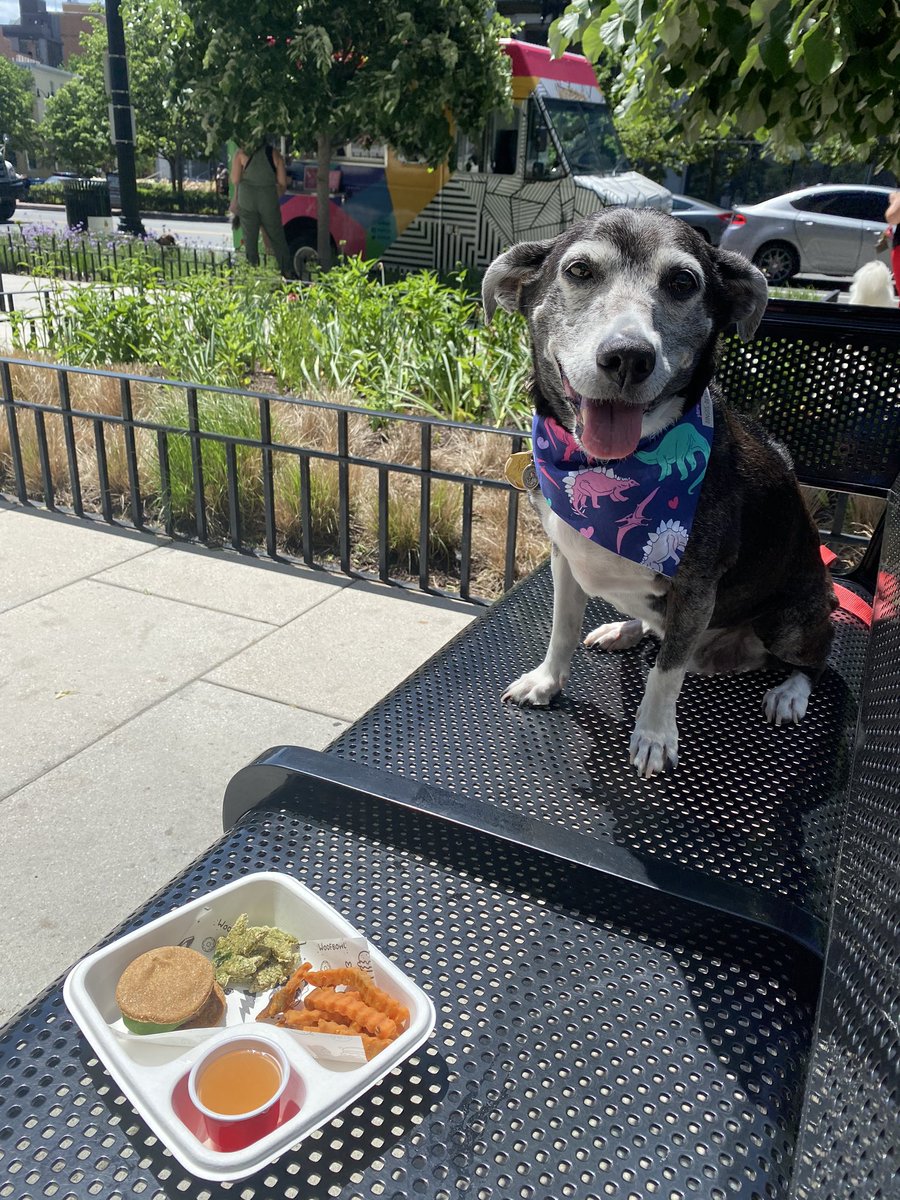 DCDogParents's tweet photo. THE BEST dog food truck around @woofbowl you guys must check it out! @BringFido #bringfido https://t.co/GE8DdT2h37