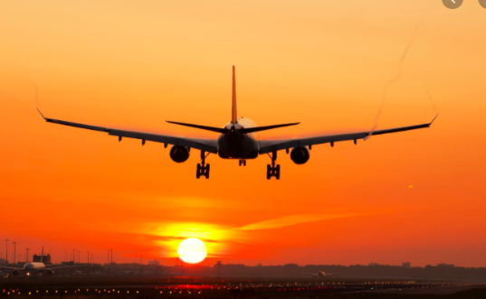 Isaac Bogoch tweet media