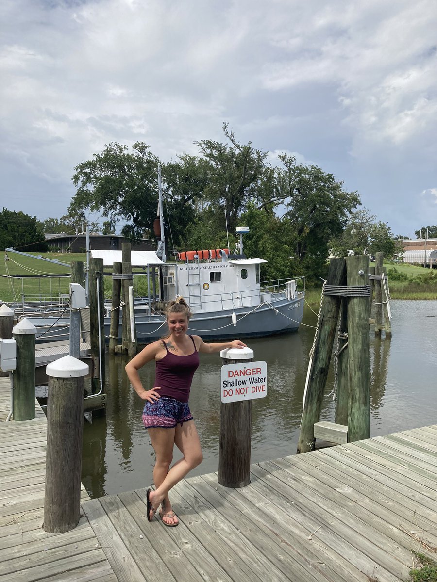 KodiFeldpausch's tweet photo. My work/college campus is located directly on the Gulf. The more I explore Ocran Springs, the more I recognize how perfect this opportunity is for me! 🐳 #kodisgreenkodisgreen #kodegan #marinekodi #loveourearth #loveouroceans #ecofriendlyliving https://t.co/mMY0vHjhMC