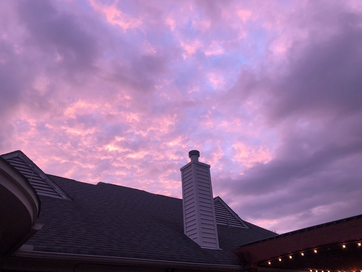 Cheryl_Rebel's tweet photo. Couldn’t find Dex &amp; it was thundering, so I looked out, he had gone out dog door and was sprawled out, head twisting, looking up at the sky. 🙌🏼 Dogs - Gift from God! https://t.co/nj5OYuY2Re