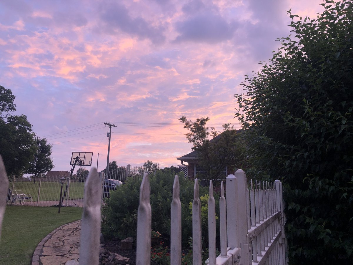 Cheryl_Rebel's tweet photo. Couldn’t find Dex &amp; it was thundering, so I looked out, he had gone out dog door and was sprawled out, head twisting, looking up at the sky. 🙌🏼 Dogs - Gift from God! https://t.co/nj5OYuY2Re