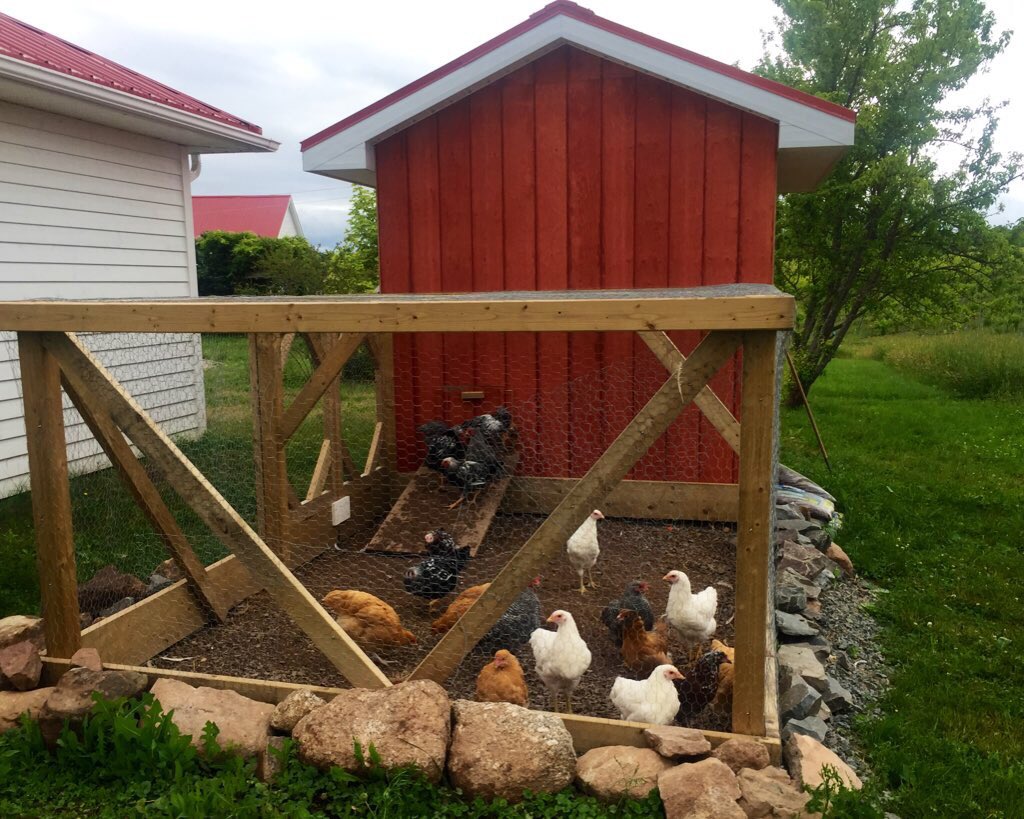 Thought I’d take little Minerva for a ride in the Kubota to visit <a href="/HeartDocSharon/">Sharon Mulvagh MD FRCPC FASE FACC</a> while she was working in the vineyard! Left her sisters and brothers back at the coop! <a href="/DrMarthaGulati/">Dr. Martha Gulati ♥️🫀❤️‍🩹🇨🇦</a> <a href="/anjalibhagramd/">Anjali Bhagra, MD MBA</a>