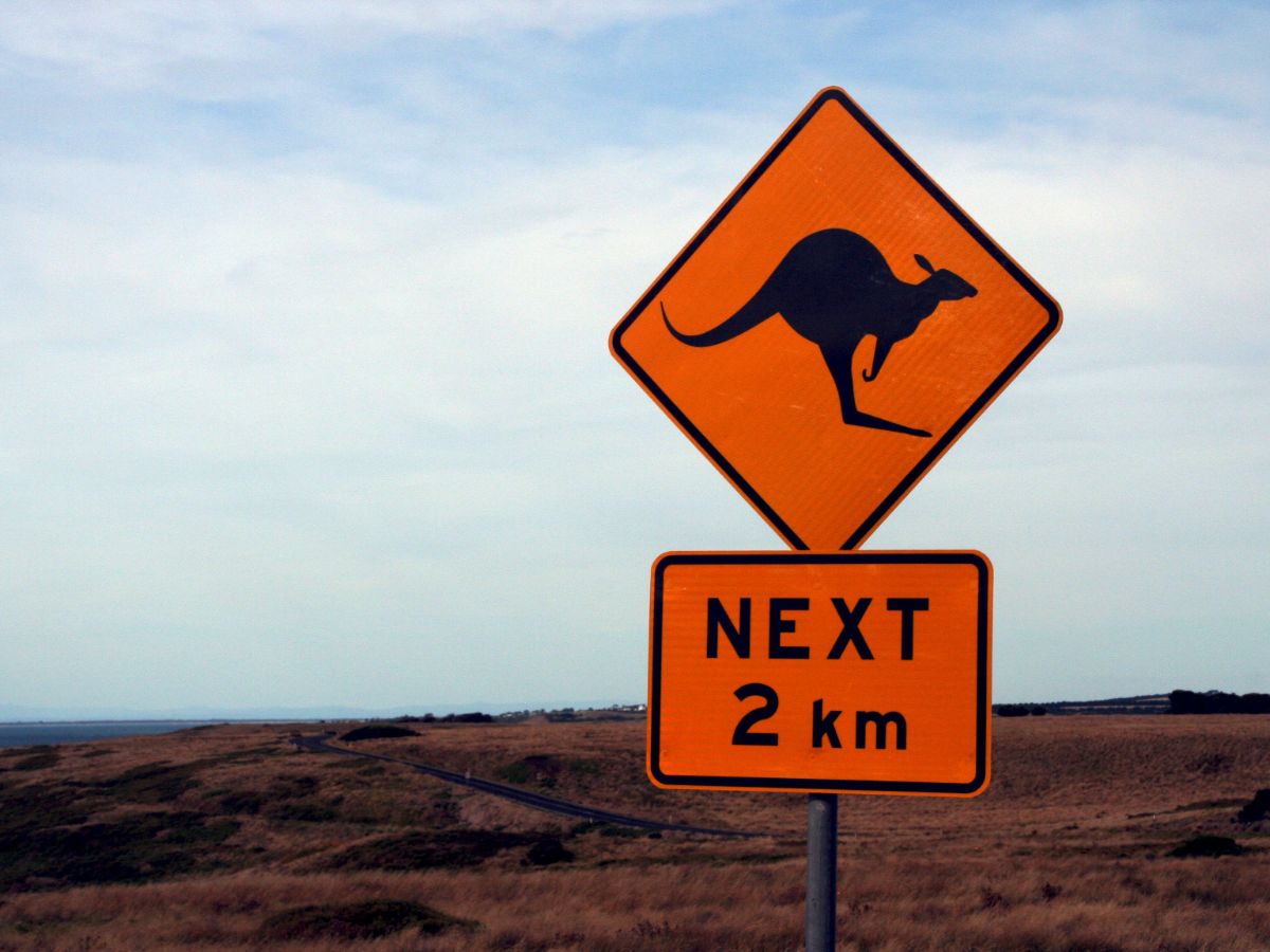 Travel plans have been put on hold for most of us. But nows a great time to explore our own backyards. Check out some of our great post-lockdown road trip ideas - #australia #roadtrip emptynesterstravelinsights.com/category/desti…