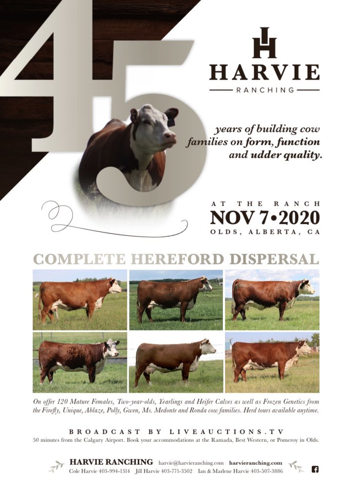 Brightpasture's tweet image. Mark your calendars for the Harvie Ranching Complete Hereford Dispersal on November 7th 2020. 120 exceptional Hereford females sell in Olds, Alberta and on Liveauctions.tv @RanchingHarvie @CAN_Hereford @herefordbreeder @LiveAuctionsTV