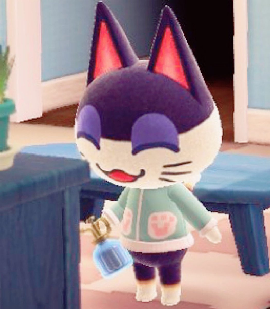 ネコのビンタくんがジェラトーニパーカー着てくれたぁ♡♡ ミント系の