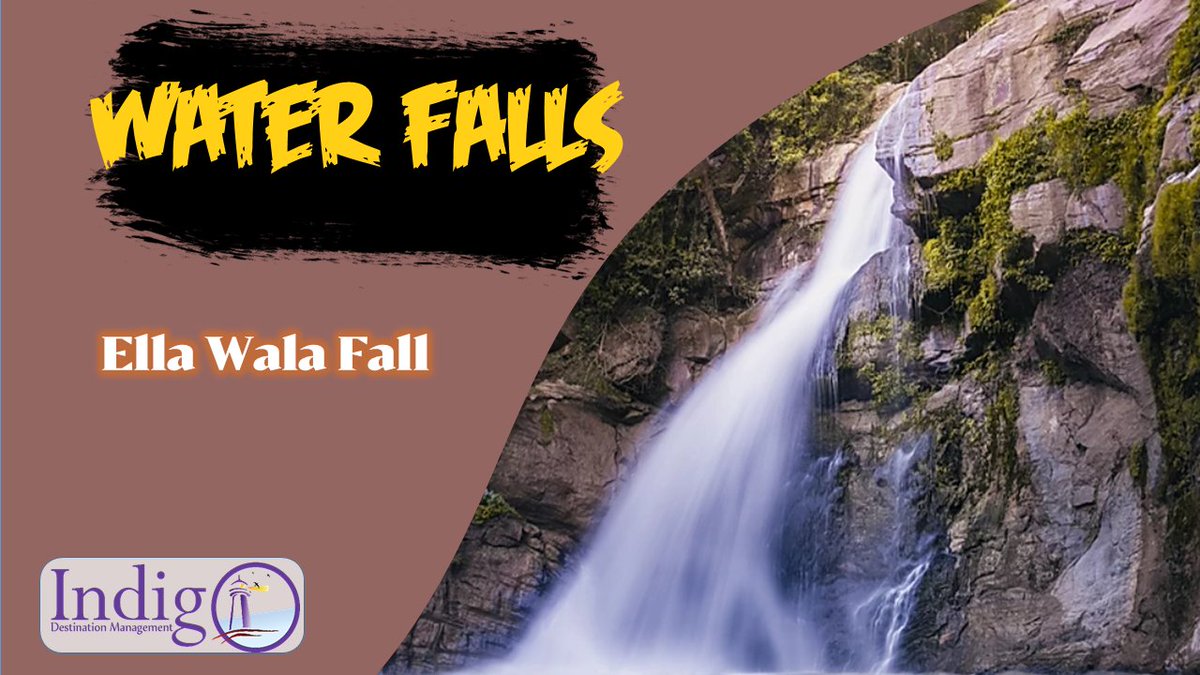 IndiGo_LK's tweet photo. Water Falls in Badulla District - Ella Wala Falls

#Waterfalls #Ella #SriLankasBeauitifulWaterFalls #SriLanka #UvaProvince #Badulla #MagicalSriLanka #NaturalWaterPools #EllaWalaFalls https://t.co/lm36wMdPsM