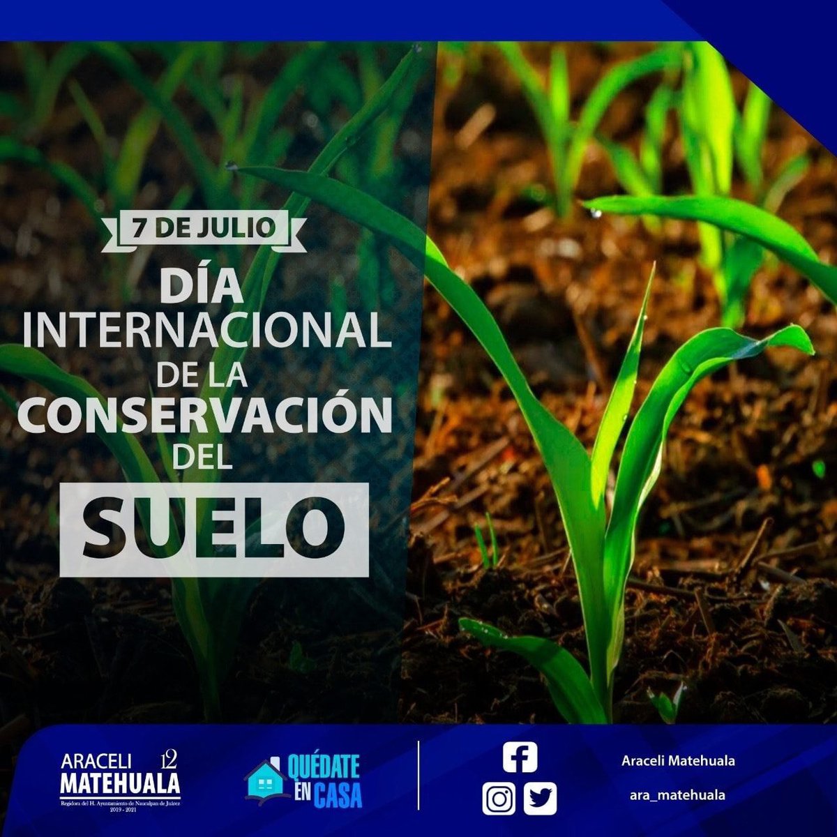 ara_matehuala's tweet photo. La Tierra nos da los frutos y alimentos que día a día nos dan los nutrientes que necesitamos para vivir sanamente.
Es necesario actuar sobre el buen uso del suelo y así lograr la sustentabilidad de todo lo que proviene de él.
#la12teinforma #R12
#AraceliMatehuala #Naucalpan # https://t.co/JXoLwSMR7Z